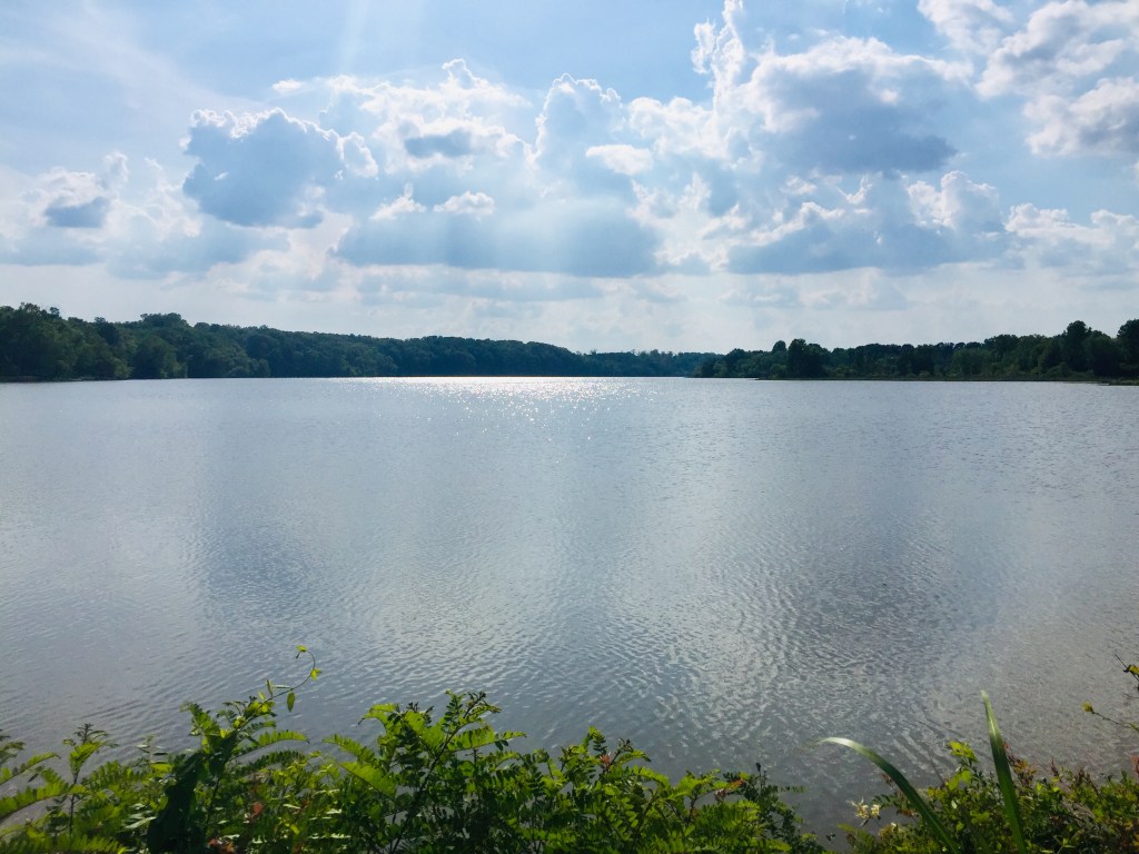 Weiss Dam and Lake - Encyclopedia of Alabama Weiss lake alabama weather